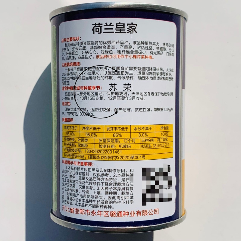 荷兰皇家西芹种子进口种耐热耐寒高产抗病大棚庭院四季种