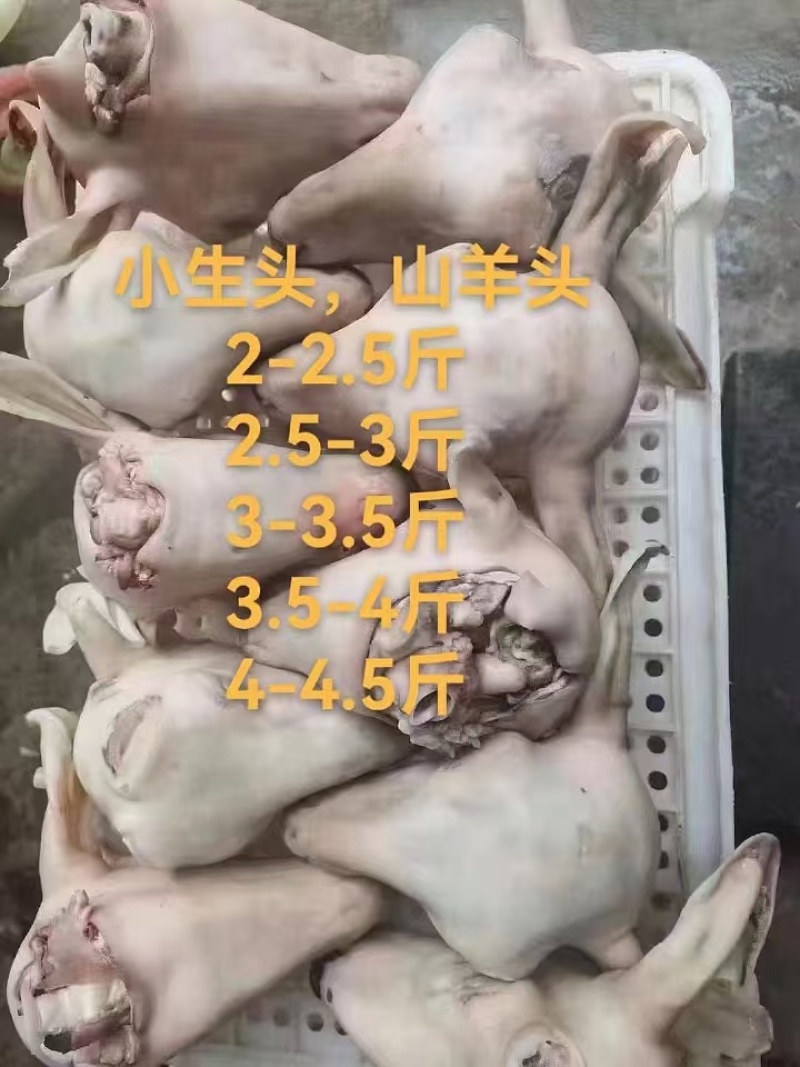 羊净头，各种规格，白头，红头，花头，黑头，可定制