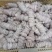 精品羊捆肠，少油，无油，冲开，可以定制。