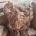 带皮羊肉，去皮羊肉，各大品牌熟羊肉。。。