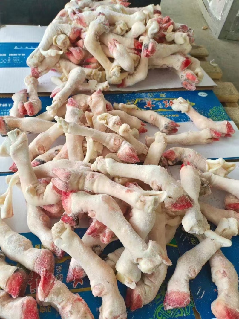 羊蹄，育肥不抽筋，抽筋，各种型号，规格齐全