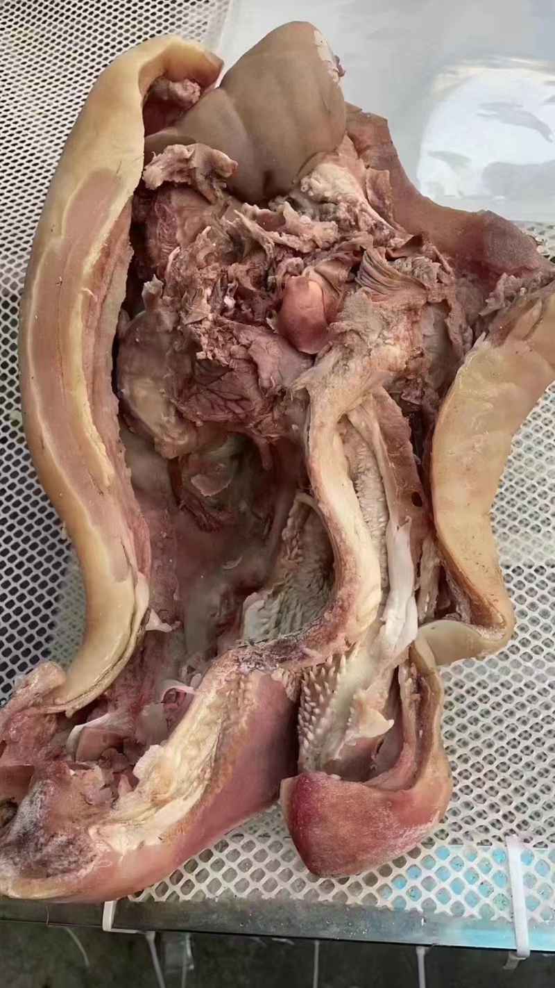 【去骨牛头肉】全熟无骨无冰牛头常年有货欢迎下单