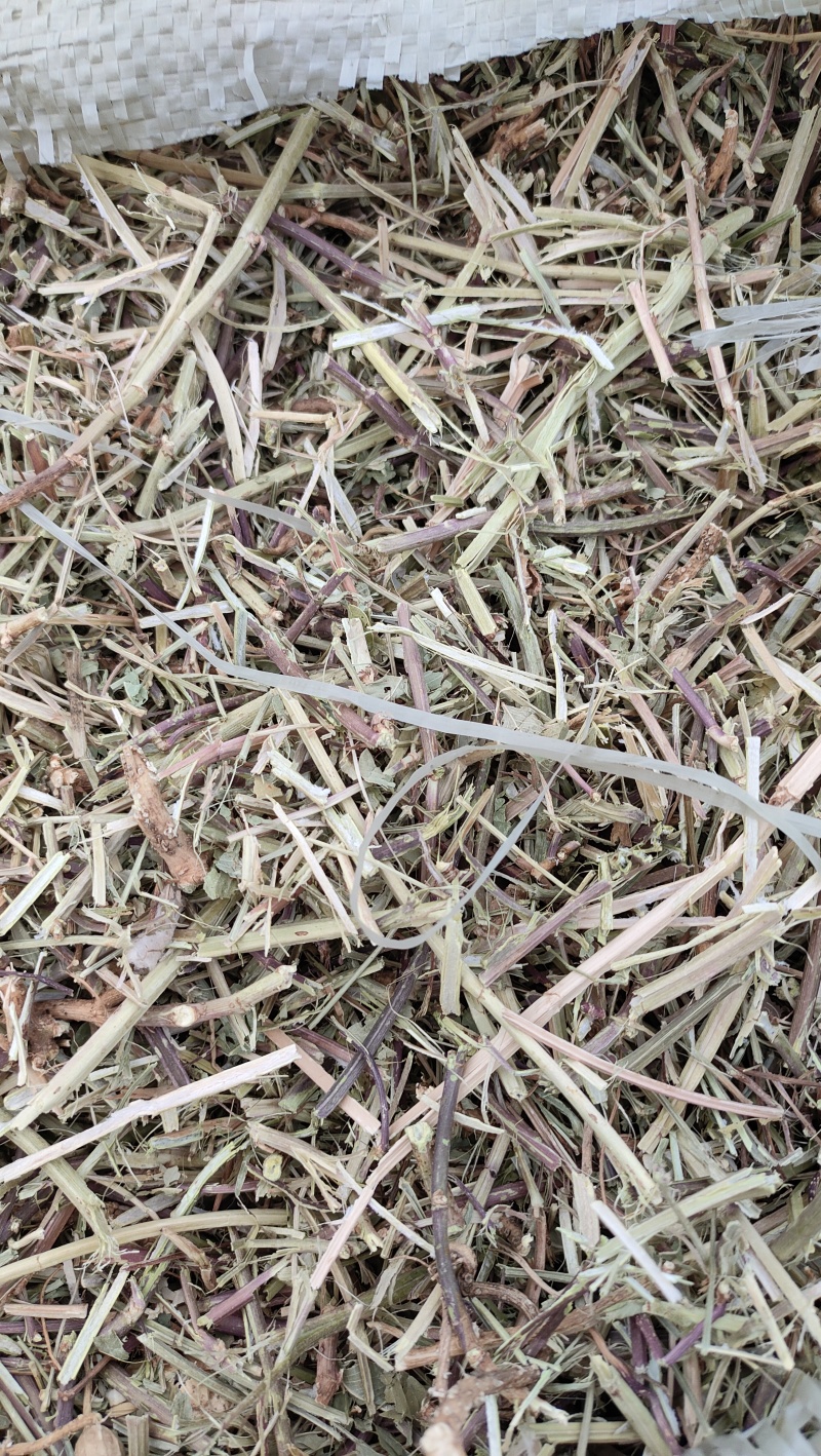 风选柔丝花生秧