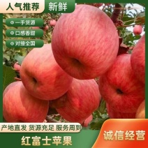 《红富士苹果》山东苹果产地批发货源充足全国发货