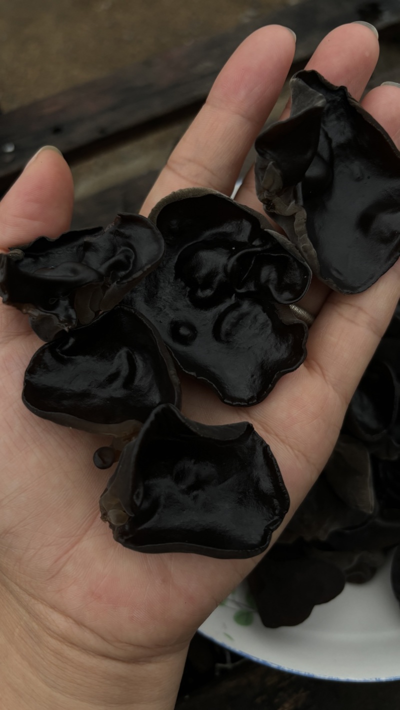 黑龙江大地头茬黑厚木耳，筋道耐泡，泡发率10倍左右