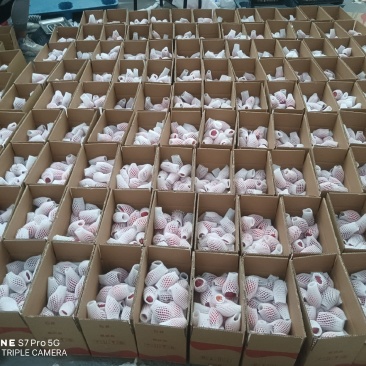 水果，干果，等所有商品包装，邮递