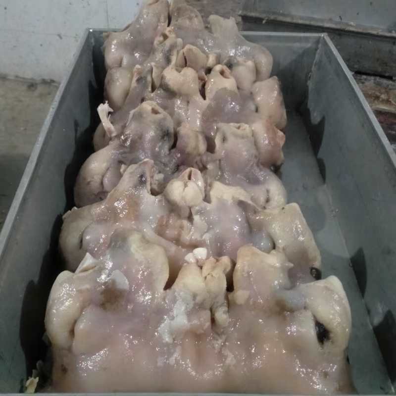 乳牛头肉，去骨熟牛头肉，纯手工去毛。