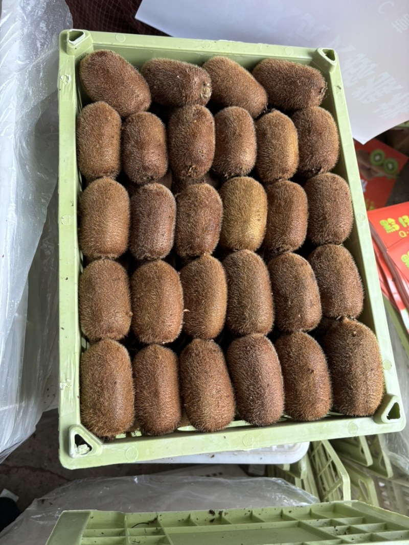 产地直销，一手货源。