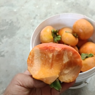 阳丰巧克力甜柿子