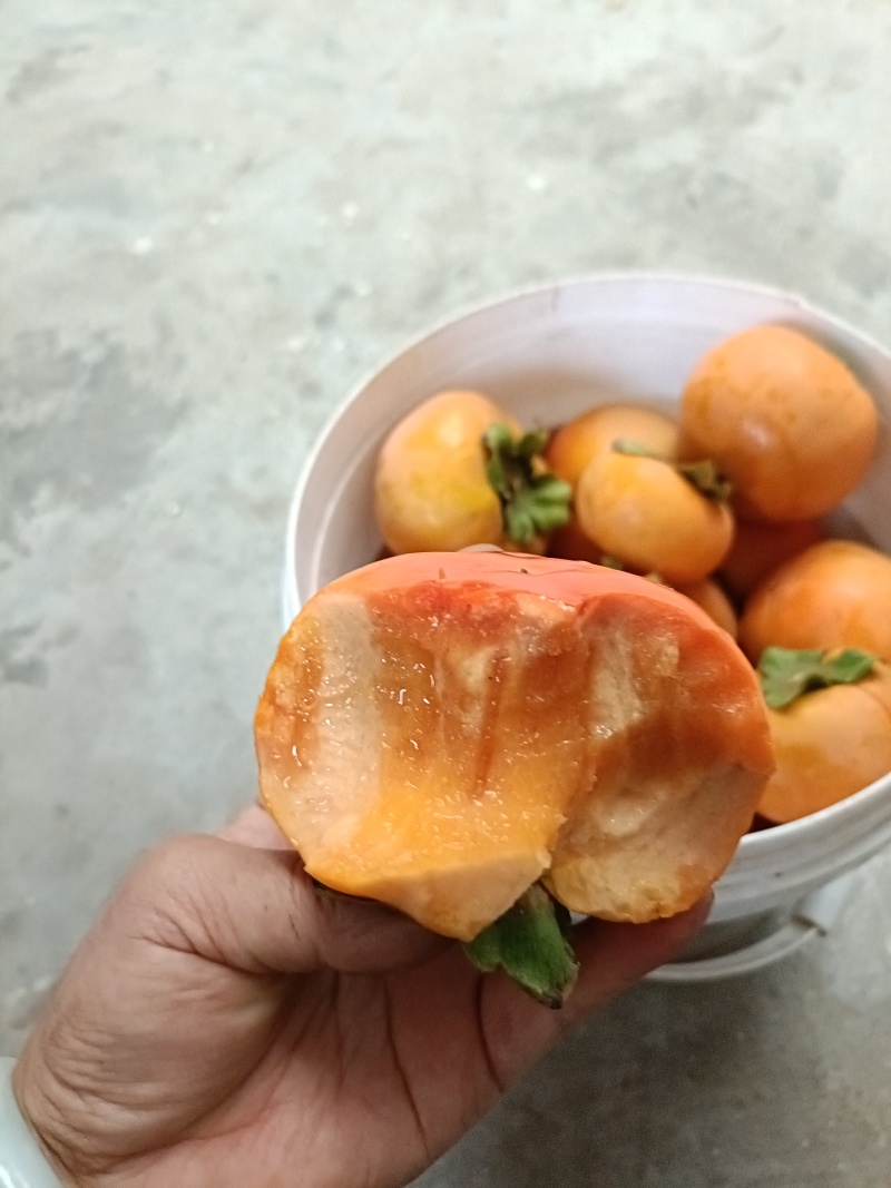 阳丰巧克力甜柿子