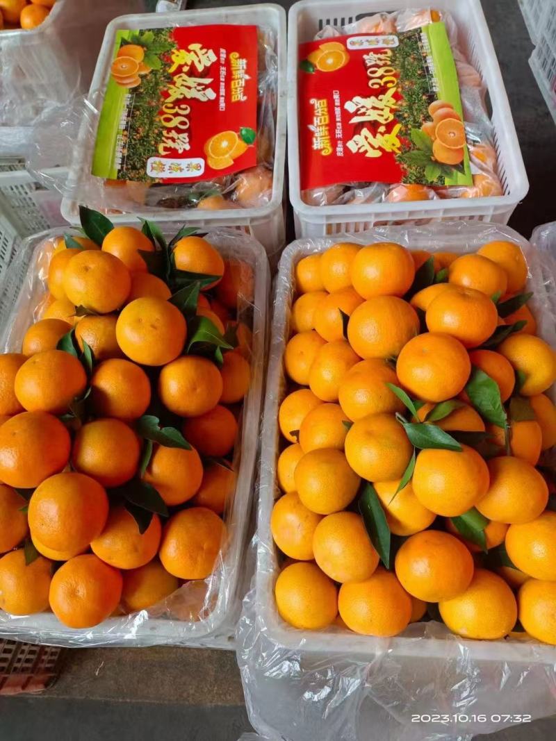 爱媛38，爱媛果冻橙，电商平台供货，一件代发