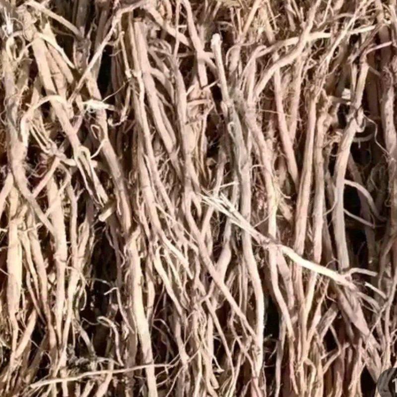 松山怪牛膝产地