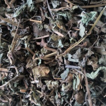 绞股蓝中药材批发绞股蓝质量保证量大从优