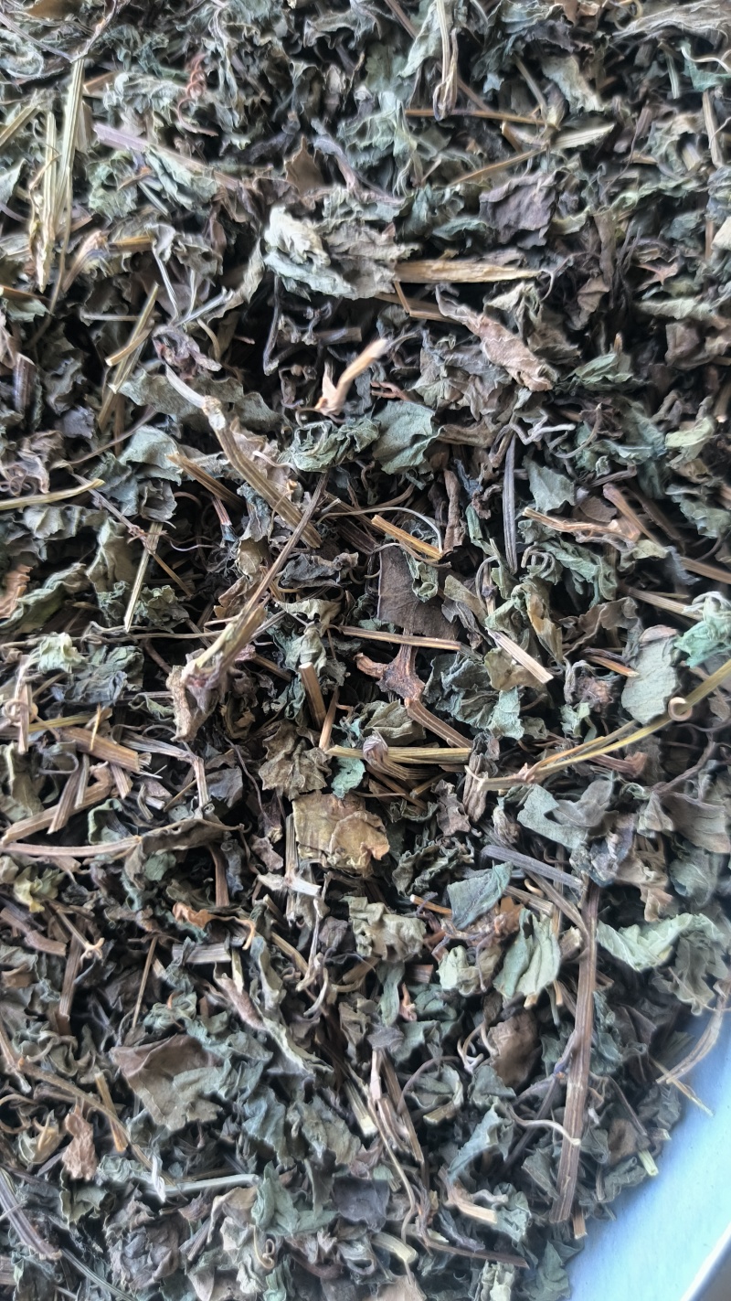 绞股蓝中药材批发绞股蓝质量保证量大从优