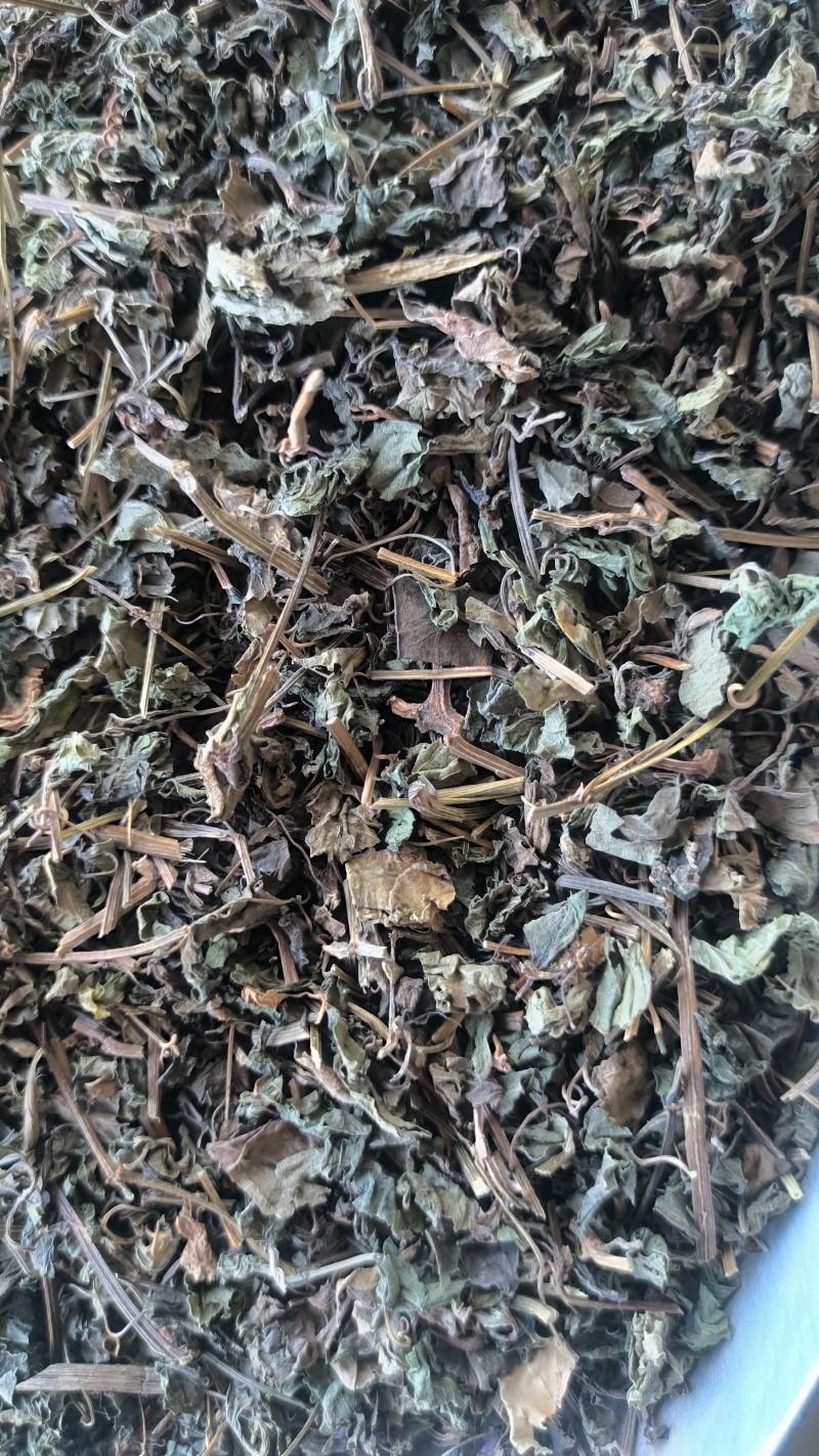 绞股蓝中药材批发绞股蓝质量保证量大从优