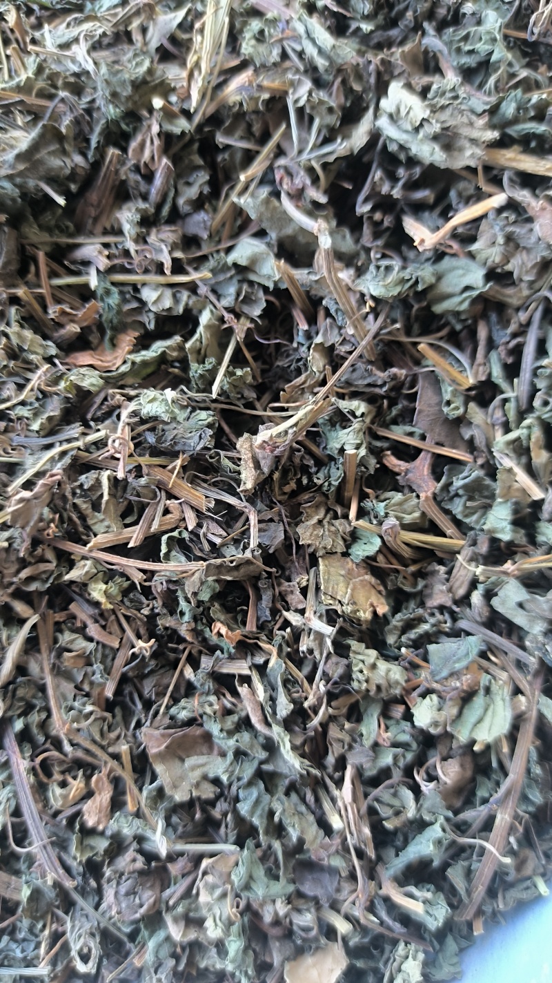 绞股蓝中药材批发绞股蓝质量保证量大从优