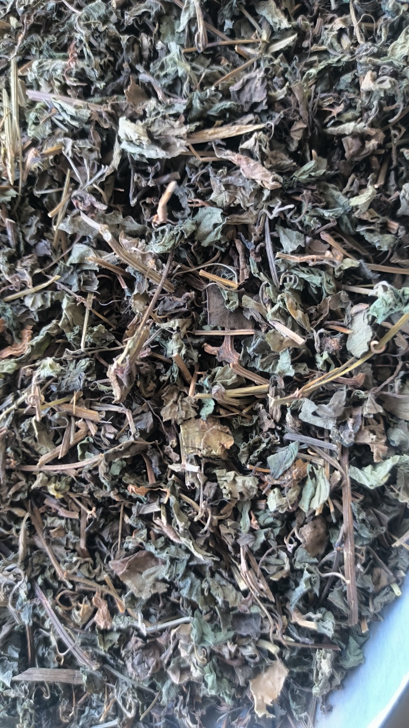 绞股蓝中药材批发绞股蓝质量保证量大从优