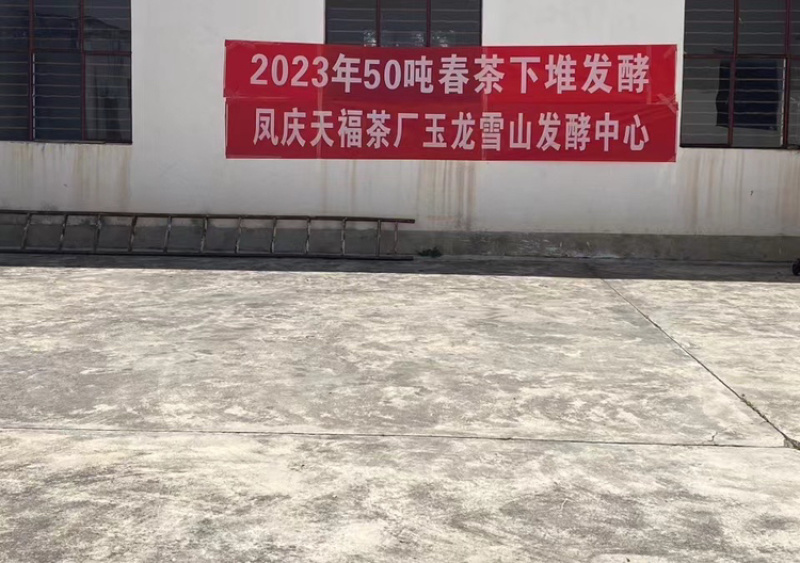 熟普散茶100克装玉龙雪山雪水发酵