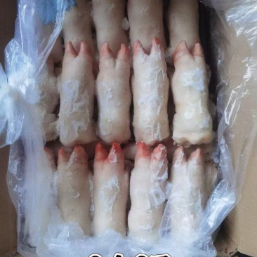 一级带筋小猪蹄厂家直销对接饭店单位欢迎联系合作