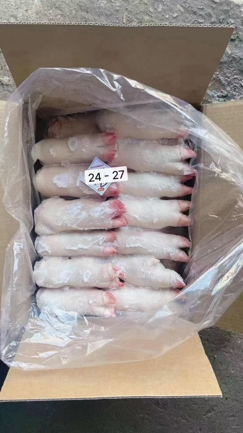 一级带筋小猪蹄厂家直销对接饭店单位欢迎联系合作