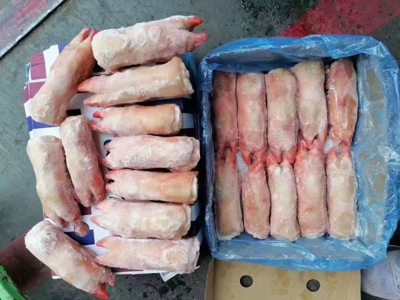 一级带筋小猪蹄厂家直销对接饭店单位欢迎联系合作