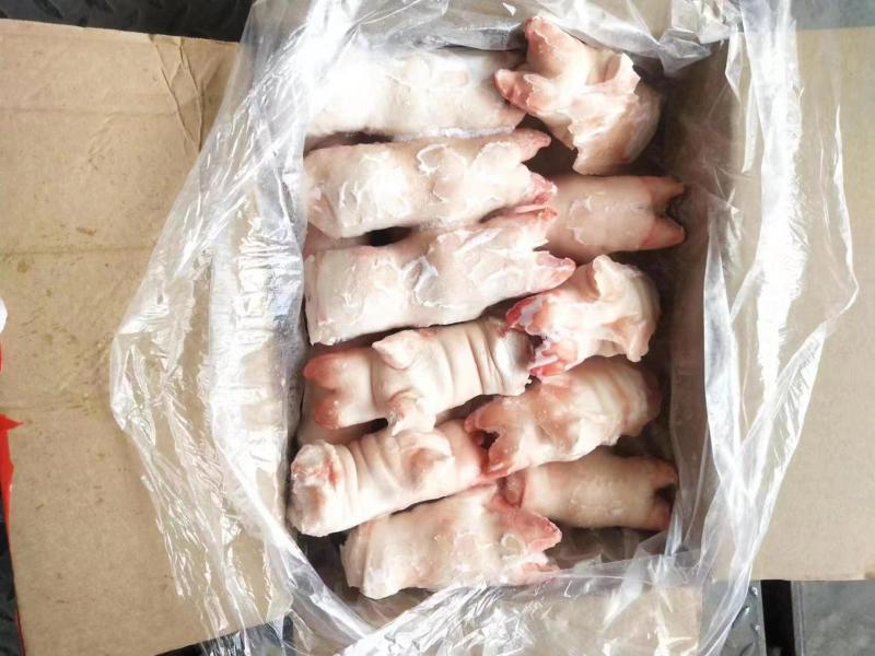 一级带筋小猪蹄厂家直销对接饭店单位欢迎联系合作