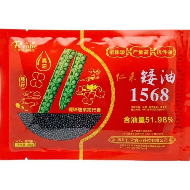 矮油1568杂交油菜种，抗病能力超强扛倒荚果密，籽粒