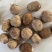 山东毛芋头种8520供应放种包回收全程州助种植