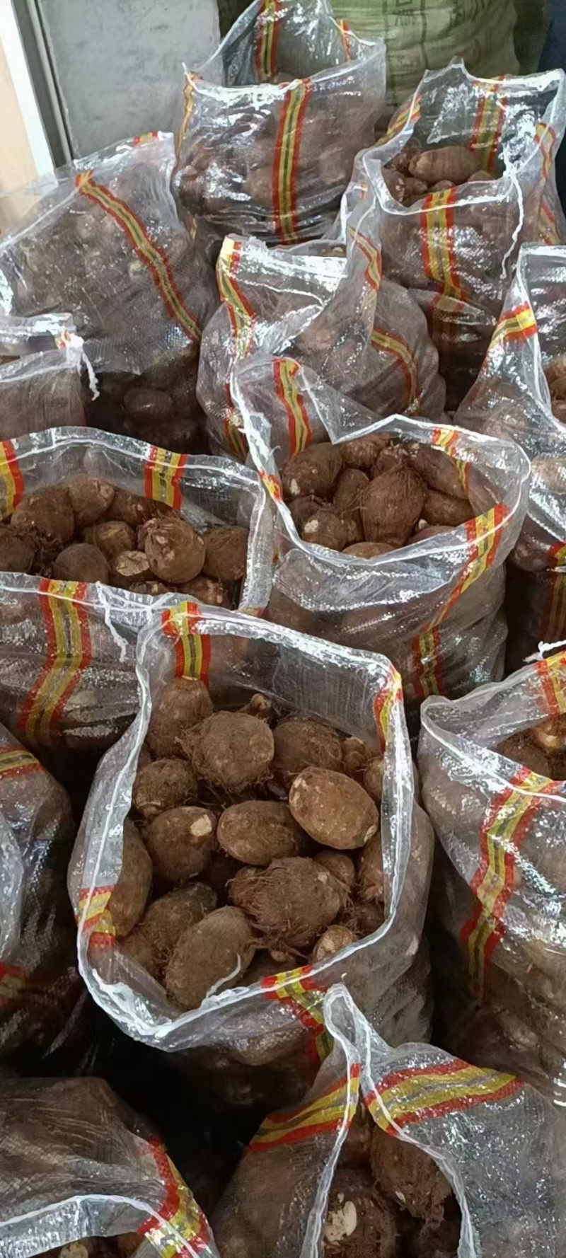 山东毛芋头种8520供应放种包回收全程州助种植