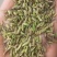 割茬小茴香品质保证大量有货一手资源产地直发