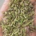 割茬小茴香品质保证大量有货一手资源产地直发