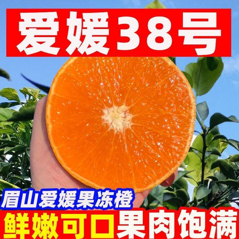 四川精品爱媛橙目前已经大量供应质量保证口感佳自家果园