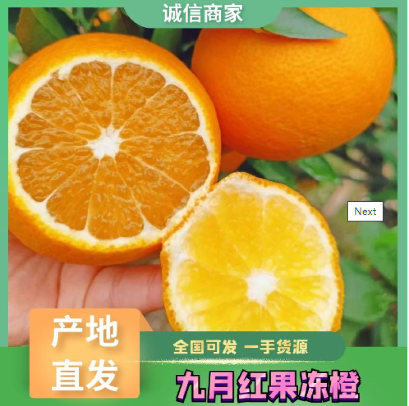 秭归九月红果冻橙无籽皮薄爆甜多汁产地直发欢迎联系