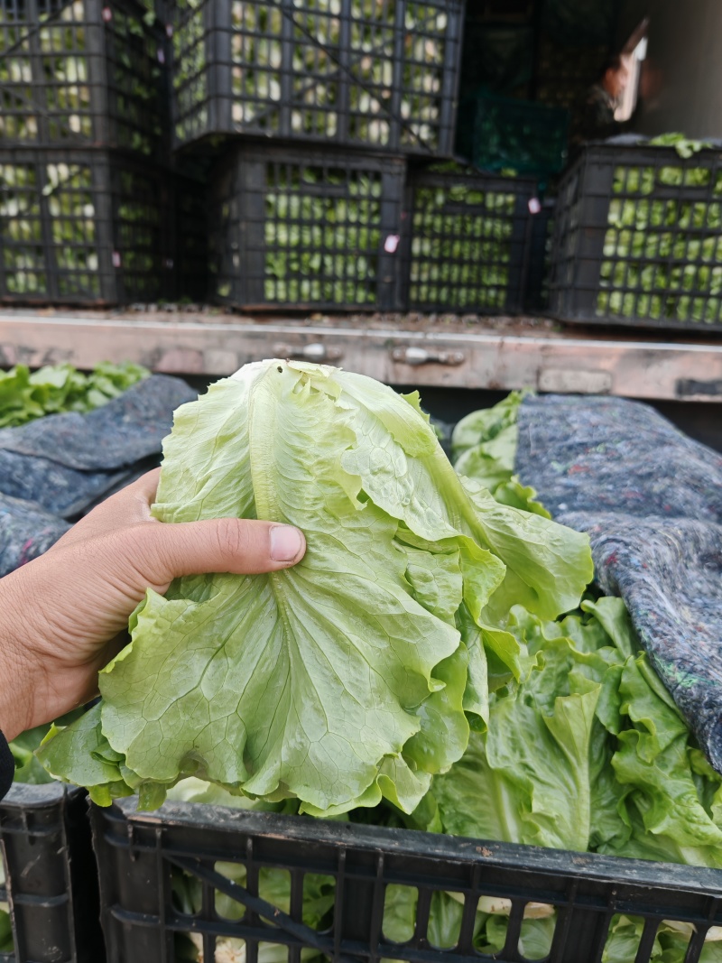 【优质推荐】供应全国商超丶市场产地直发