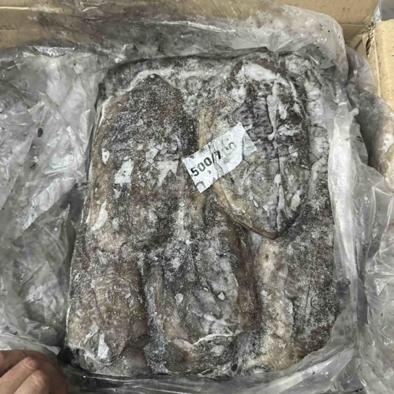 墨鱼300/500500/700700/1000