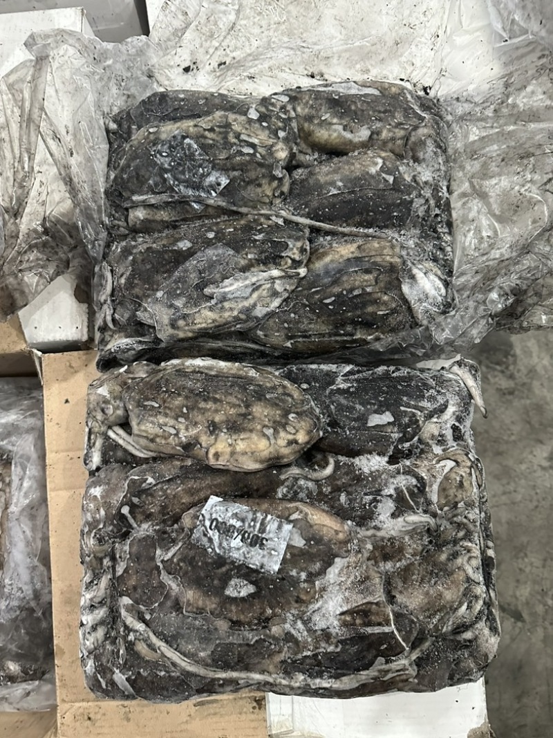 墨鱼300/500500/700700/1000