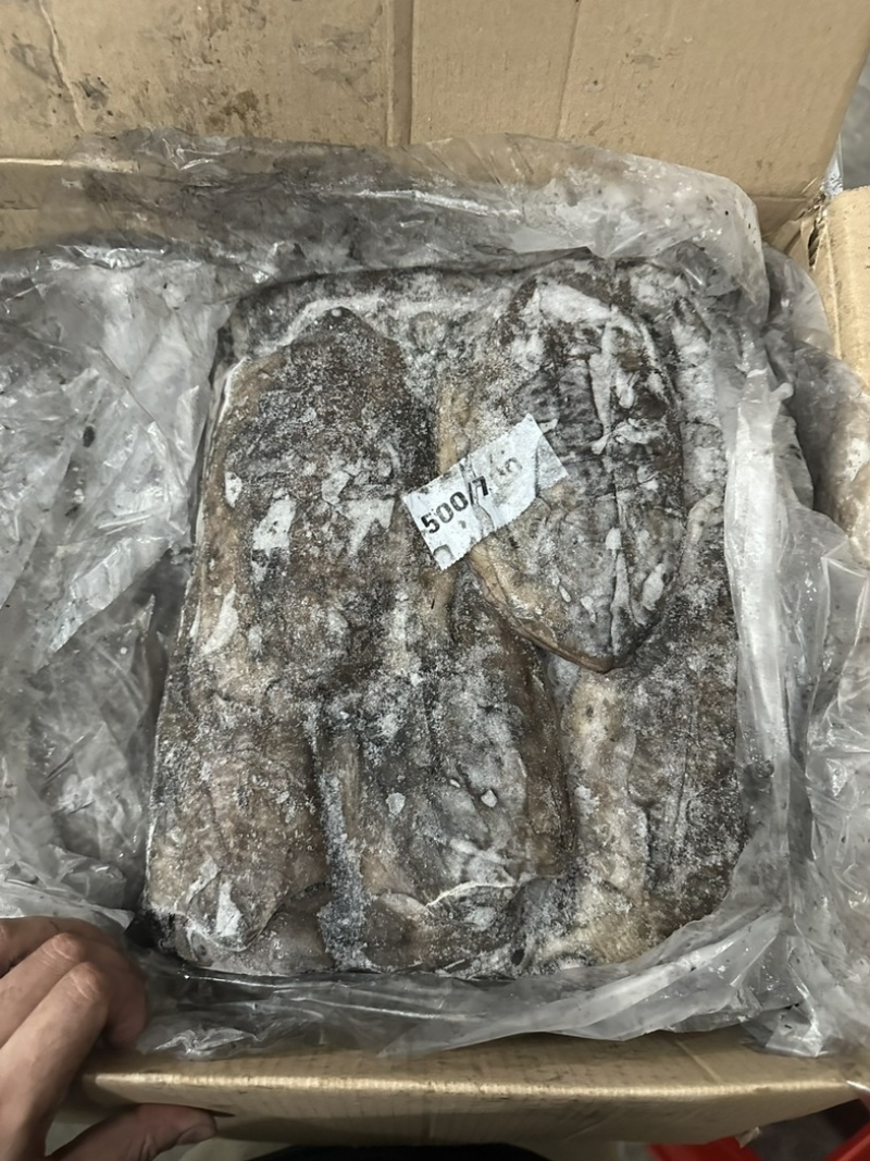 墨鱼300/500500/700700/1000