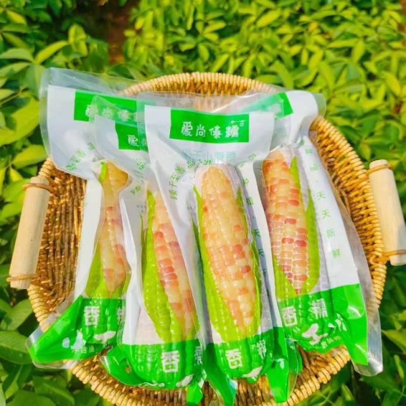 糯玉米多个品种米山原香甜微软大量现货一件包邮可以长