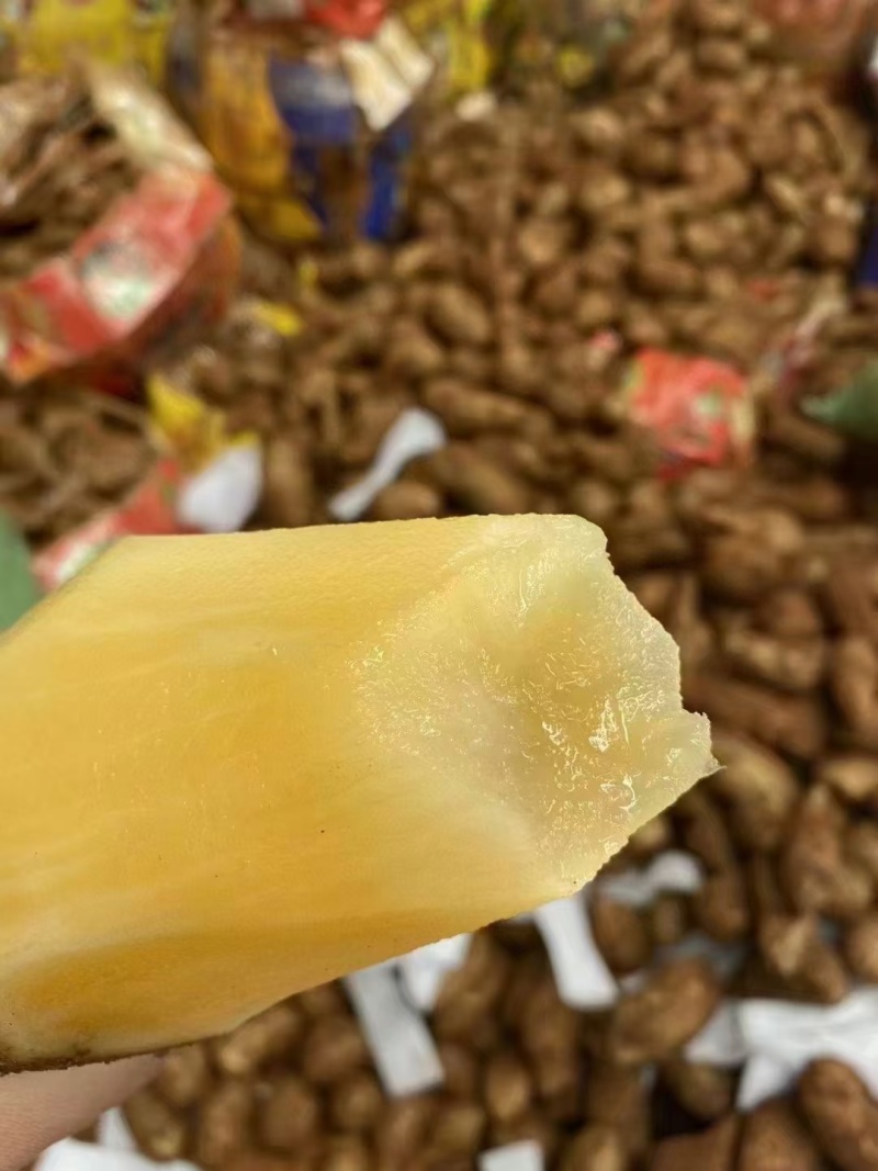 精品雪莲果一件代发，市场批发，基地直发