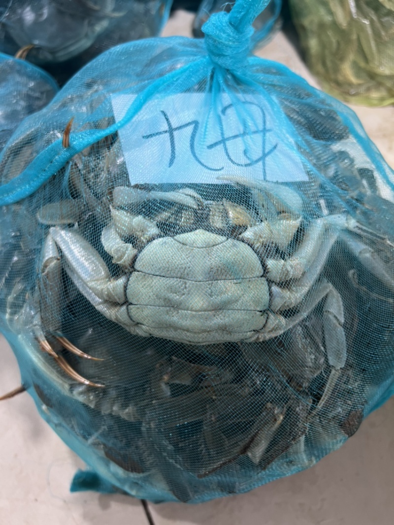 江苏兴化精品残公残母，九指公，九指母