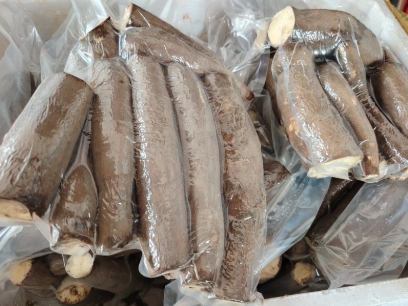 黄肉木薯稳定持续供应各种规格黄肉木薯