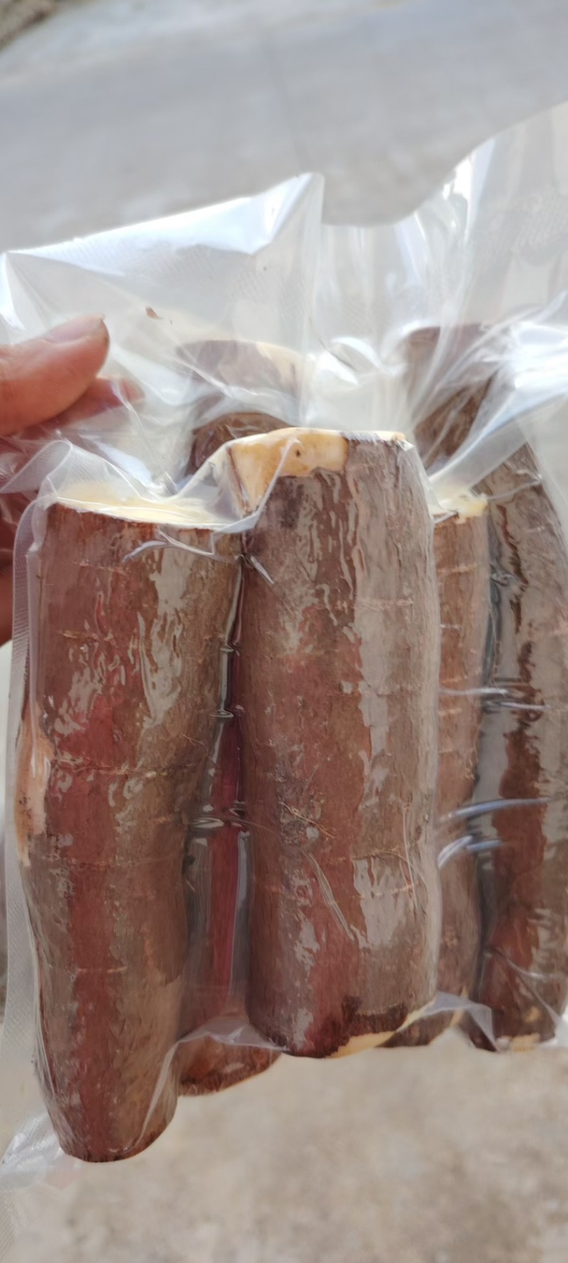 黄肉木薯稳定持续供应各种规格黄肉木薯