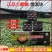 增温块温室拱棚加热升温块无烟无毒环保防潮燃烧块