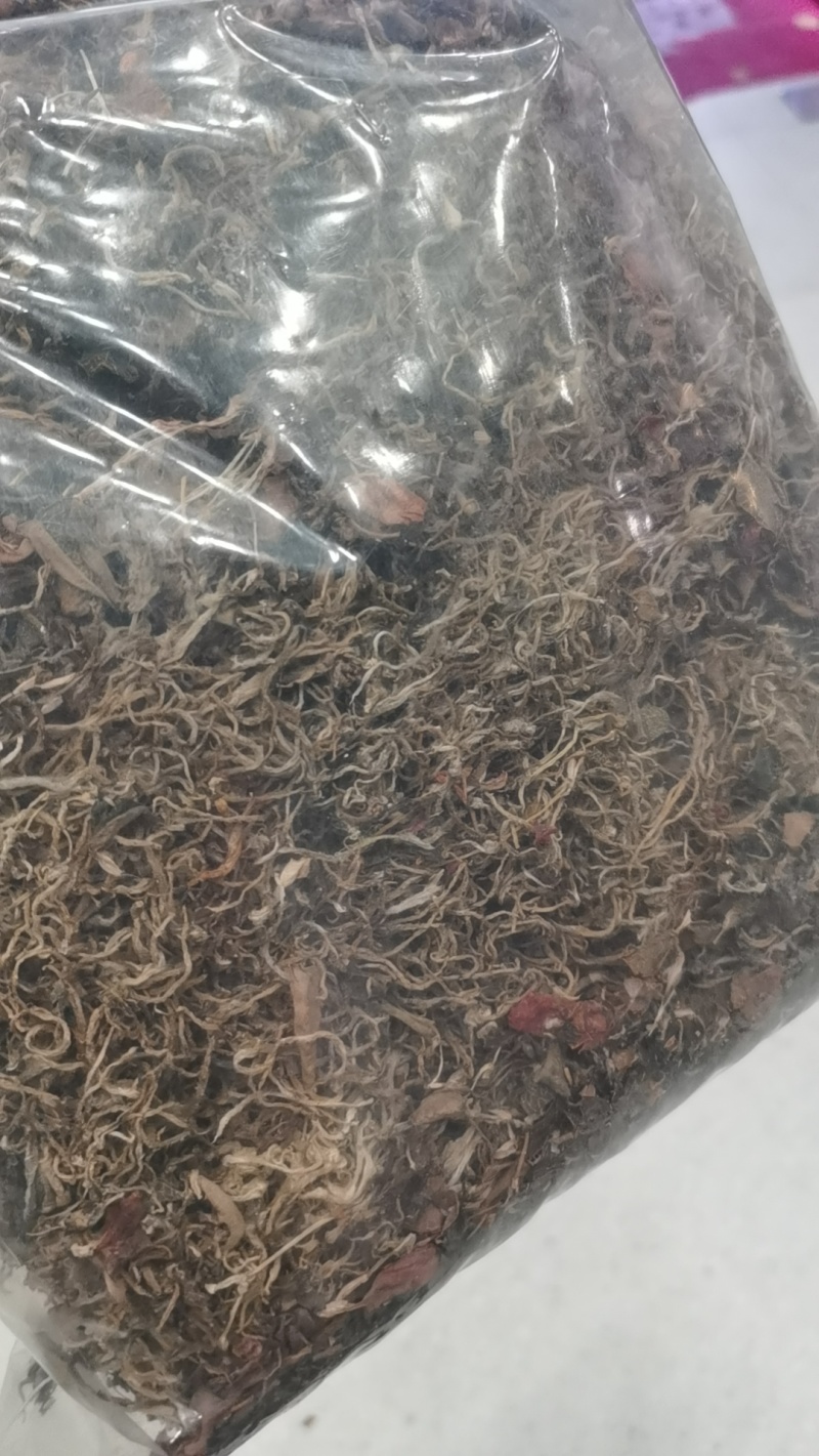 金线莲