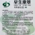 早生康翠早熟春甘蓝种子脆嫩结球包菜种子卷心菜种子春季
