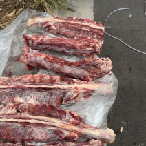 多肉羊蝎子临沂现货还有不到十吨，今年的货