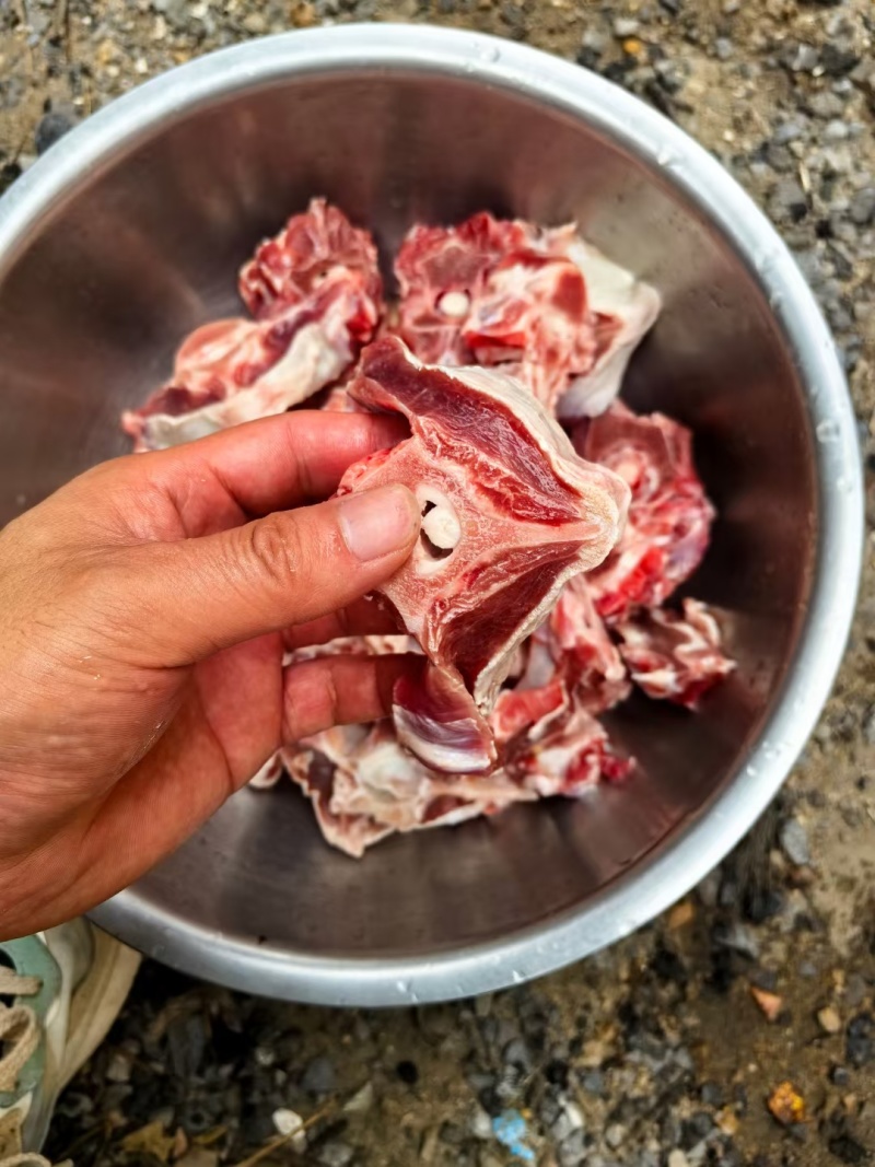 多肉羊蝎子临沂现货还有不到十吨，今年的货