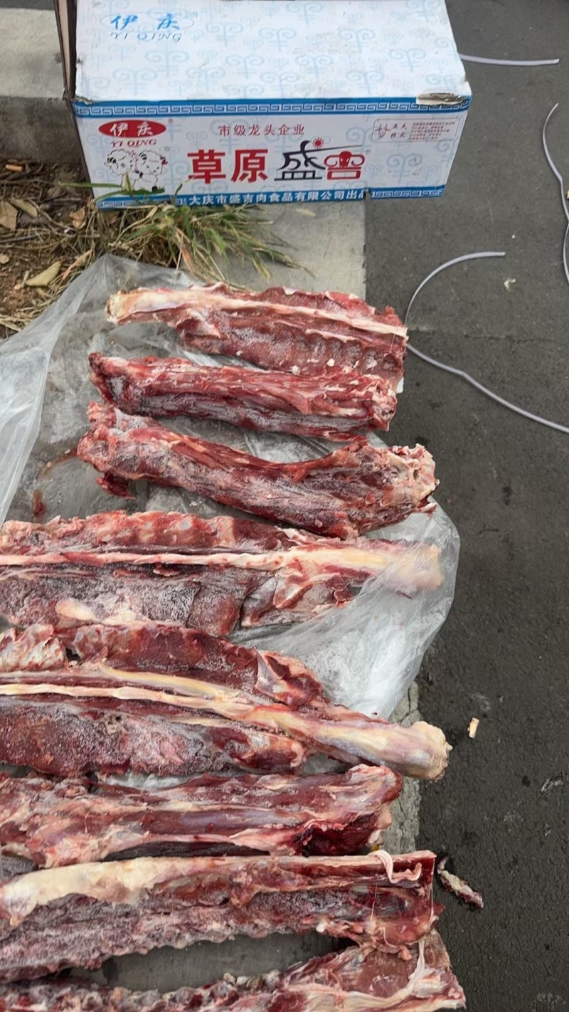 多肉羊蝎子临沂现货还有不到十吨，今年的货