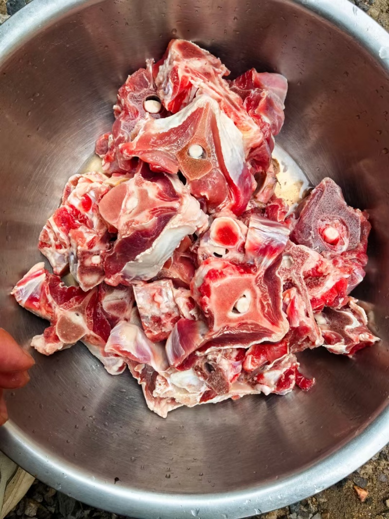 多肉羊蝎子临沂现货还有不到十吨，今年的货