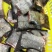 白鲢鱼尾新鲜货源品质上乘支持视频看货欢迎来电洽谈